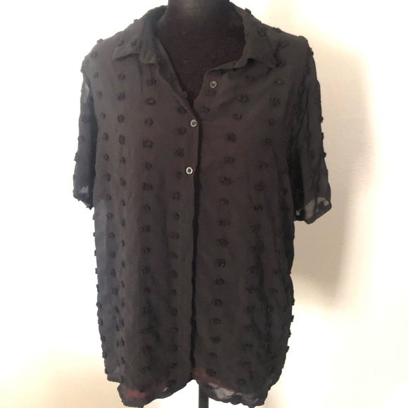 V-Neck Chiffon Pom Pom Blouse - Picture 3 of 6